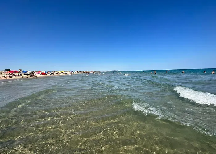 Apartment Appartement Climatise 3 Pieces Avec Terrasse, Box A Sete - Fr-1-472A-217